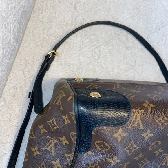Louis Vuitton Estrela Tote - Picture 9 of 12
